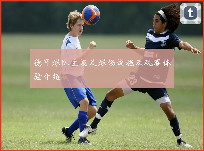 德甲球队主场足球场设施及观赛体验介绍