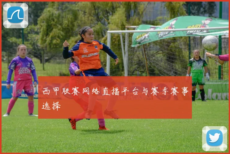 西甲联赛网络直播平台与赛季赛事选择