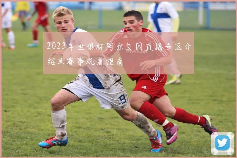 2023年世俱杯阿尔艾因直播专区介绍及赛事观看指南